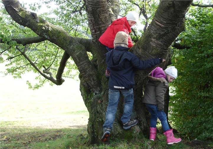 Der Ausflug lädt zum Erforschen des Waldes ein.Privat