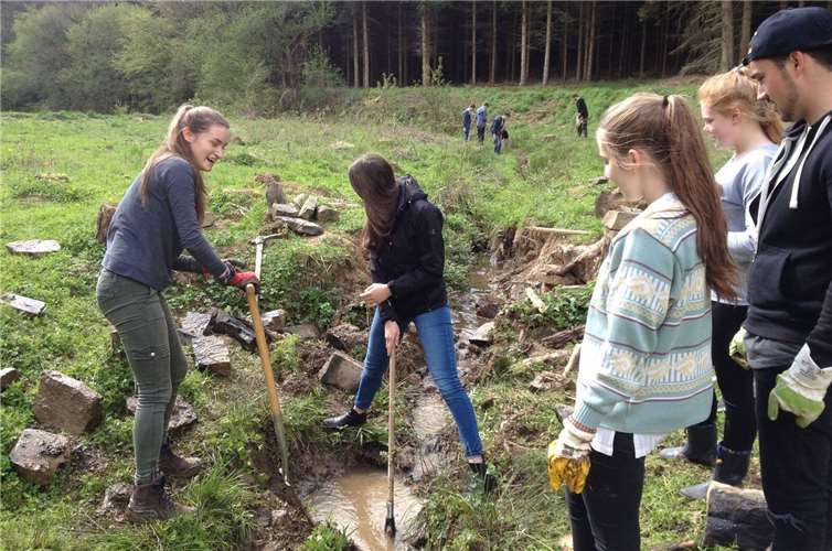 Der BUND unterstützt die Patenschaft am Honerather Bach: Schüler bei der Entfernung der Stickung. Winfried Sander (BUND)