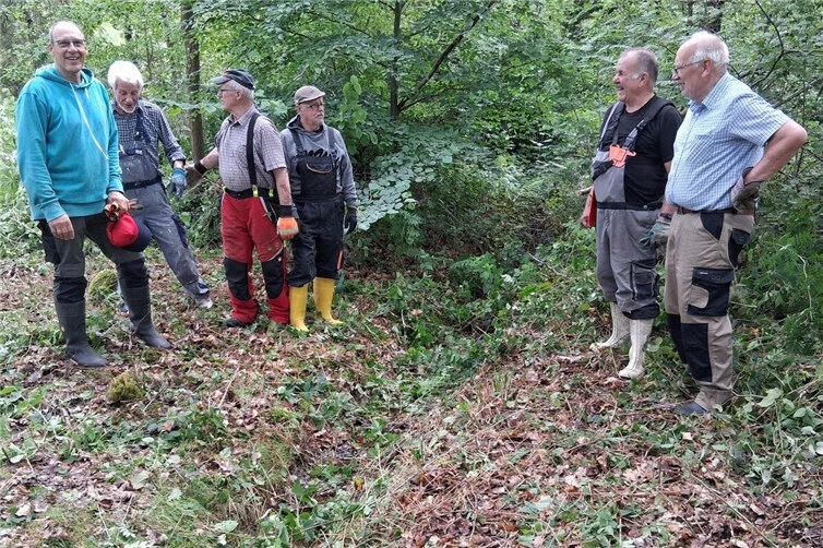 Der Bach fließt