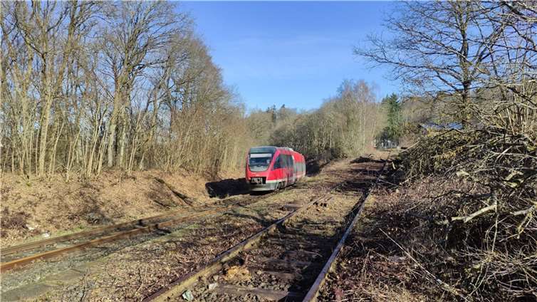 Der Bahnhof Kaisersesch mit der zurückgeschnittenen Vegetation.  Foto: privat