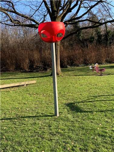 Der Basketballkorb. Foto: BfM