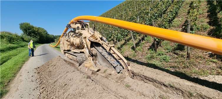Der Bau der provisorischen Hochdruckleitung entlang der Weinberge macht große Fortschritte.Foto: evm