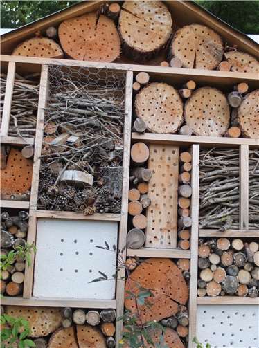 Der Bau von Insektenhotels könnte eines der ersten Praxisprojekte der neuen AG sein.  BUND Kreisgruppe Koblenz