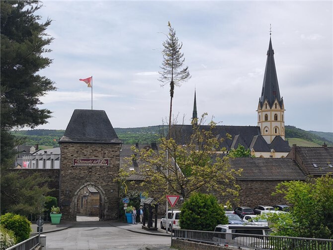 Der Baum der Adenbachhut mit der St. Laurentius Kirche im Hintergrund. Fotos: DU