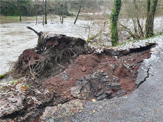 Der Baum ist in die Hochwasser führende Wied gestürzt und hat dabei Teile des Straßenbelags mitgerissen.  Foto: Thomas Riehl/SBN