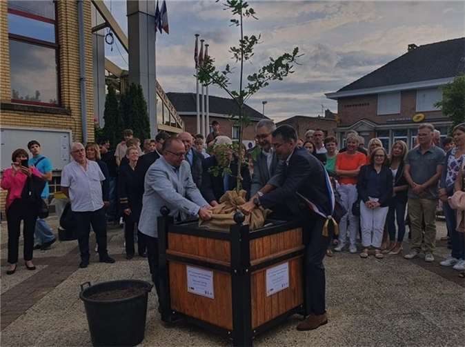 Der Baum wurde im Rahmen der Feierlichkeiten zum 50. Jahrestag der Unterzeichnung der Partnerschaftsurkunde tatkräftig vom Courrierer Bürgermeister Christophe Pilch und seinem Beigeordneten im Beisein von Stadträten, Gästen und Bürgern feierlich an seinem Platz am Hotel de Ville (Rathaus) eingepflanzt.  Quelle: SPD Weißenthurm