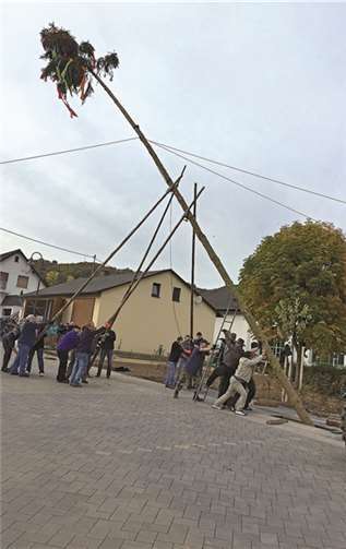 Der Baum wurde mit Muskelkraft aufzustellen. privat