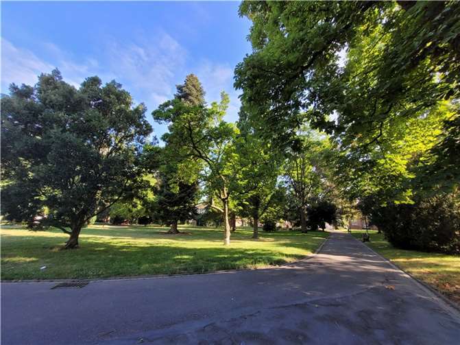 Der Bendorfer Stadtpark im Sommer.  Foto: Stadt Bendorf