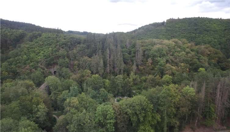 Der Bendorfer Wald wird nachweislich vorbildlich bewirtschaftet. Foto: Stadt Bendorf am Rhein