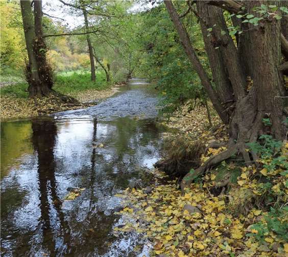 Der Bereich Nette, auch bachübergreifend, gehört mit zum jagdbedingten Sperrbezirk. Foto: privat
