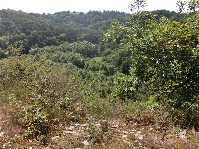 Der Bereich Nette, auch bachübergreifend, gehört mit zum jagdbedingten Sperrbezirk. Foto: OG Ochtendung