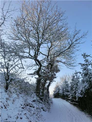 Der Bereich Nette, auch bachübergreifend, gehört mit zum jagdbedingten Sperrbezirk.Foto: privat
