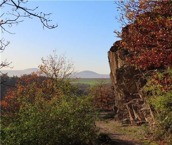 Der Bereich des Arbeitsdienstwegs gehört mit zum jagdbedingten Sperrbezirk. Foto: Ortsgemeinde Ochtendung