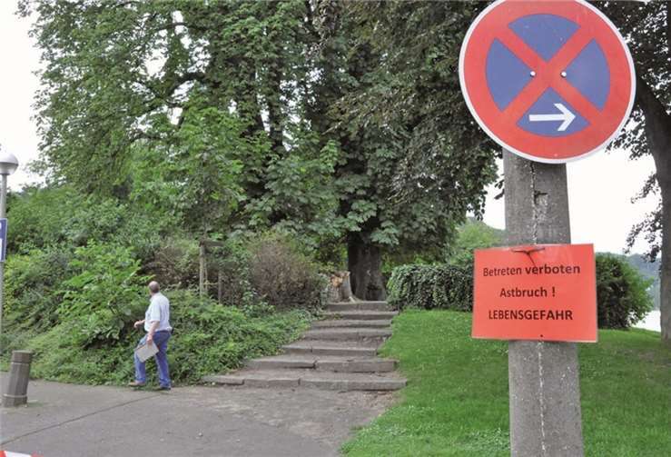 Der Bereich unter den Kastanien bleibt vorerst weiter abgesperrt. AB