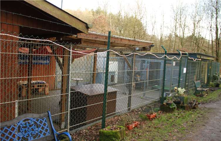 Der Bestand und Umbau am aktuellen Standort wäre zwar gesichert, würde aber bedeuten, dass weniger Tiere aufgenommen werden könnten. Fotos: KBL