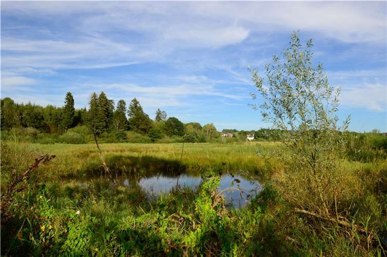 Der Biberweiher Freilingen.