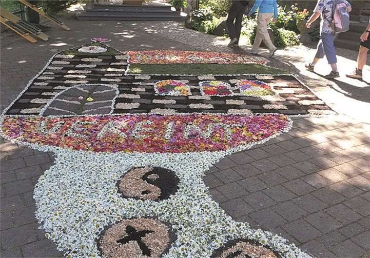 Der Blütenteppich in Altenahr. privat