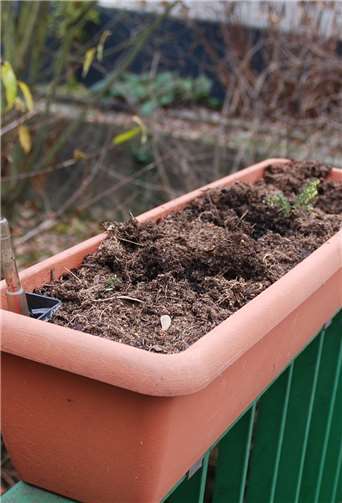 Der Blumenschmuck an der Brohlbachbrücke wurde auch nicht ausgelassen..