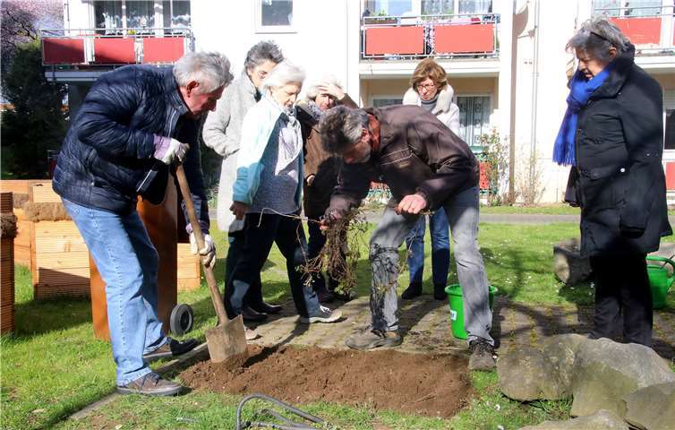Der Boden wurde für das Wachstum von Pflanzen aufbereitet. Foto: wlutti
