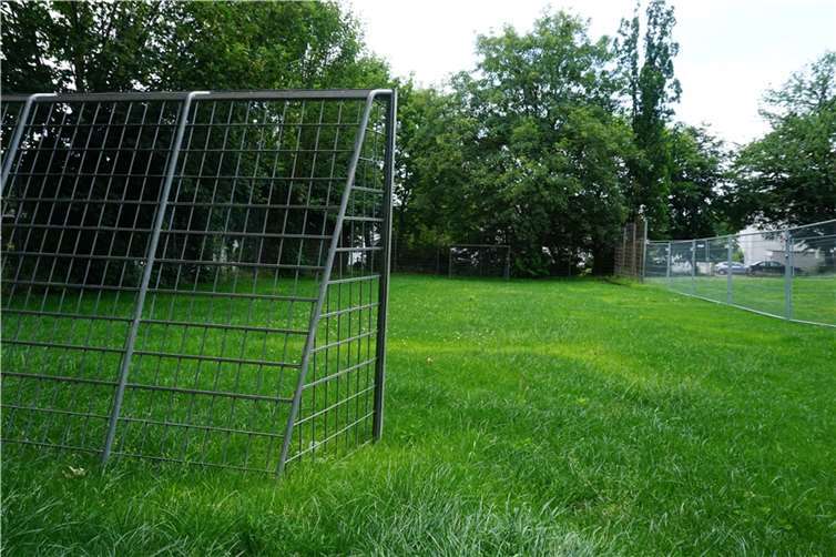 Der Bolzplatz Eulenhorst wurde überarbeitet. Der Rasen ist gut eingewachsen und kann nun wieder bespielt werden. Foto: Stadt Koblenz / Verena Groß