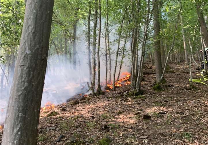 Der Brand breitete sich schnell in ein angrenzendes Waldstück aus.