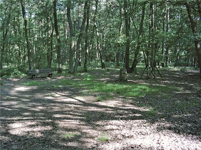Der Breisiger Wald lädt zum Wandern ein. privat