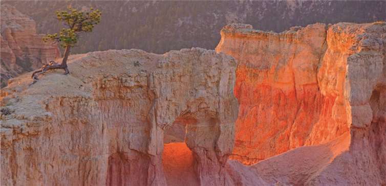 Der Bryce-Canyon im Farbrausch.Heinz Contzen