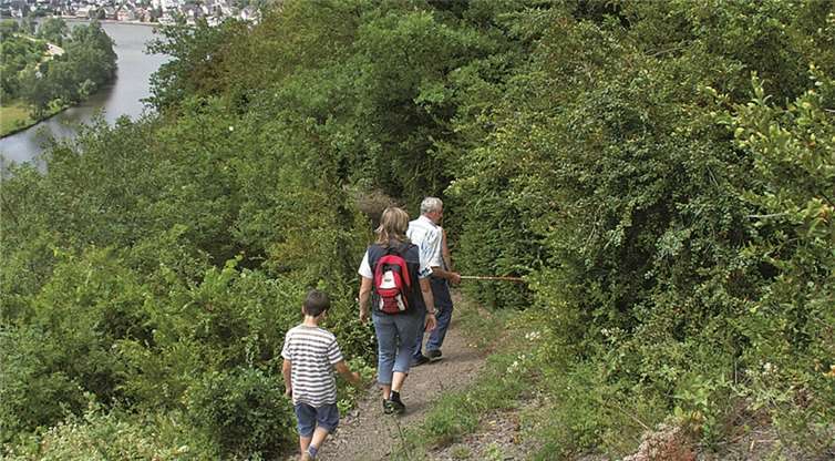 Der Buchsbaum-Wanderpfad. Tourist-Information Ferienland Treis-Karden