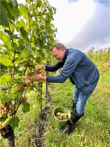 Der CDU-Bundestagsabgeordnete Josef Oster ist stets in engem Kontakt mit den Winzern der Region – dabei wird nicht nur geredet, sondern auch durchaus mal mitangepackt.  Foto: Philip Rünz
