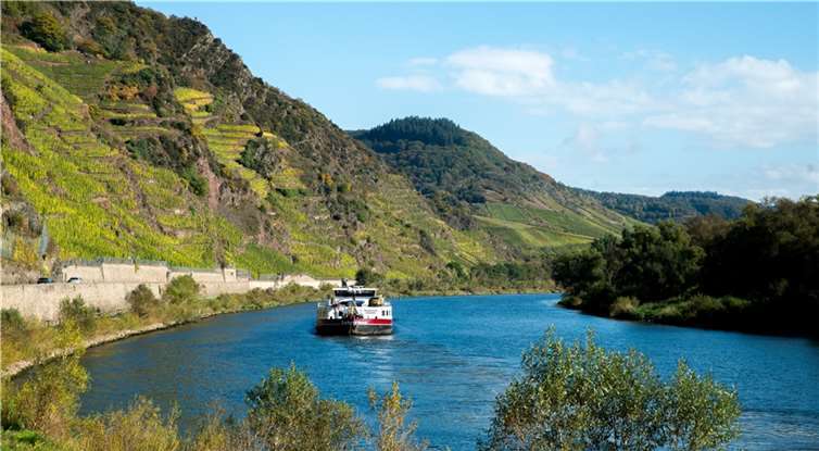 Der Calmont an der Mosel. Foto: Chris Marmann/Moselwein e.V.