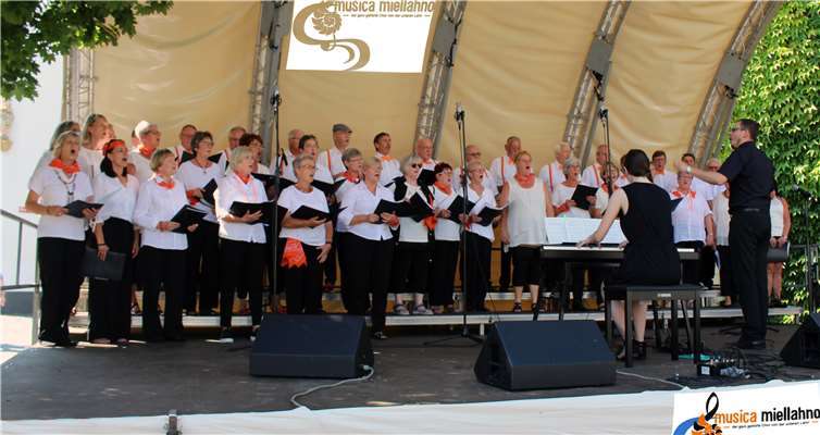 Der Chor Musica Miellahno bei seinem Auftritt in Mainz. Foto: privat