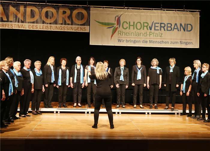 Der Chor konnte die Jury sowohl mit der technischen Ausführung, als auch mit der künstlerischen Gesamtdarstellung überzeugen.Fotos: Volker Bewersdorff/CV RLP
