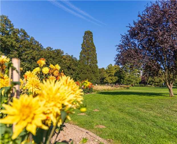 Der Dahliengarten in Bad Neuenahr. Foto: Archiv