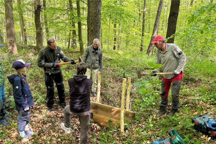 Der Damm nimmt Gestalt an