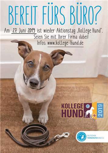 Der Deutsche Tierschutzbund ruft für den 27. Juni zur Teilnahme am Aktionstag „Kollege Hund“ auf. Copyright: Deutscher Tierschutzbund e.V.