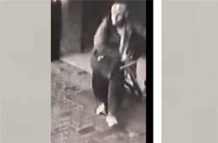 Der Dieb wurde von einer Kamera erfasst und wird nun von der Polizei gesucht.