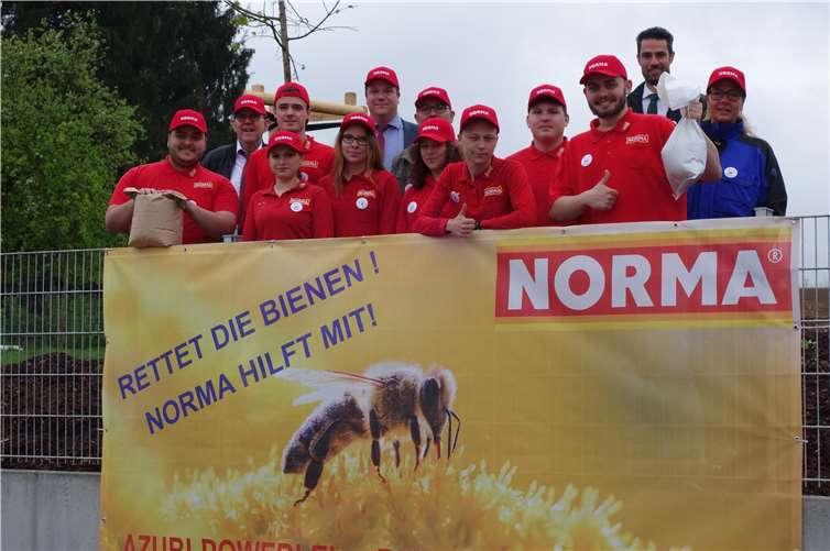 Der Discounter NORMA setzt sich für aktiven Umwelt- und Ressourcenschutz ein: Neuestes Beispiel ist das Azubiprojekt der Niederlassung Kerpen, die jetzt ein rund 1.100 Quadratmeter großes Areal in Dierdorf in eine artgerechte Blühwiese für Bienen umgewandelt hat. Foto: NORMA.