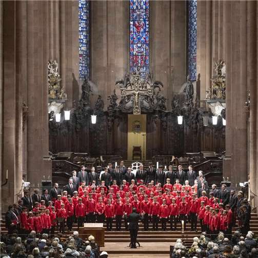 Der Domchor Mainz unter Domkapellmeister Prof. Kartsten Storck. Foto: Peter Pulkowski
