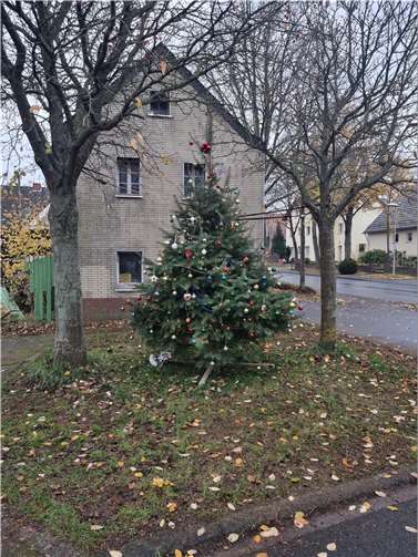 Der Dorfweihnachtsbaum in Peppenhoven.