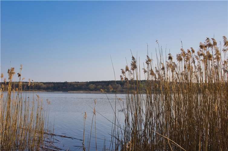 Der Dreifelder Weiher.  Foto: Christian Boll