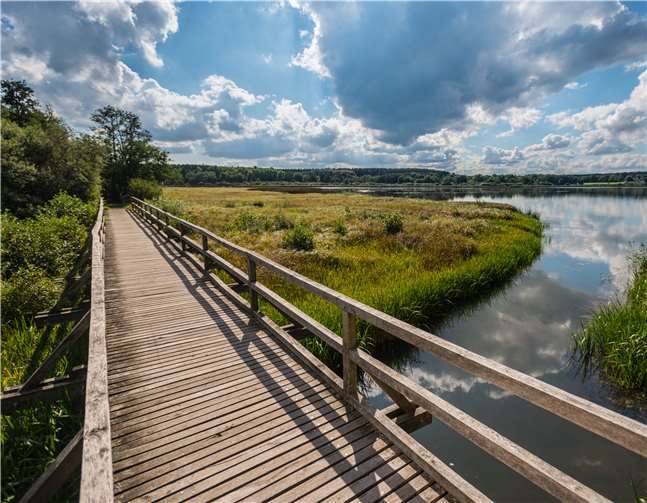 Der Dreifelder Weiher ist ein schönes Ausflugsziel. Foto: Dominik Ketz
