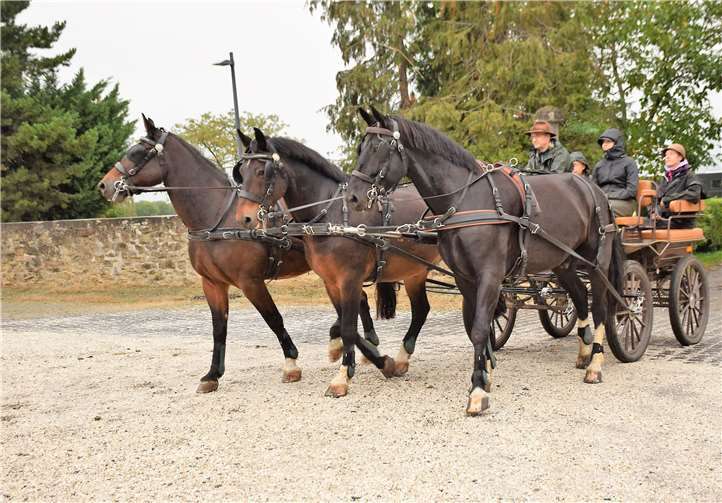 Der Dreispänner der Fam. Stier erregte große Aufmerksamkeit.
