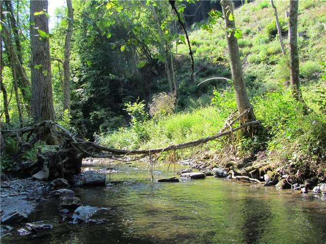Der Ehrbach an der Brandengrabenmühle.