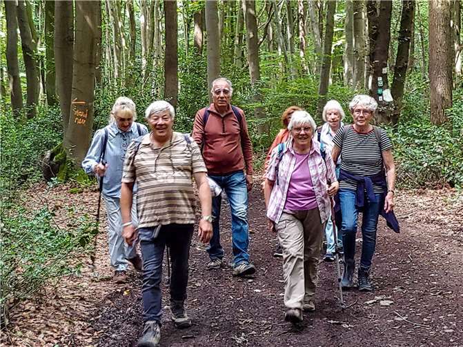 Der Eifelverein Bad Breisig wandert von Wiesen zu Wäldern. Foto: Eifelverein Bad Breisig
