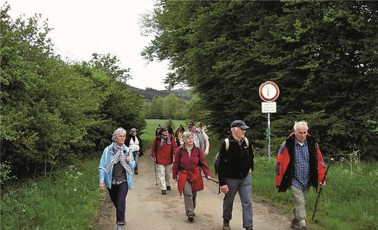 Der Eifelverein Sinzig bei der Wanderung zur 125-Jahresfeier des Hauptvereins Düren in Prüm.Privat