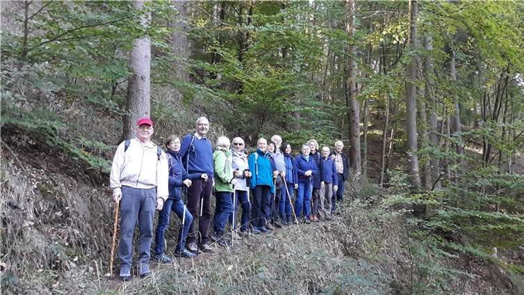 Der Eifelverein im Mayener Stadtwald. Foto: Werner Henrich