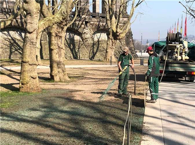 Der Eigenbetrieb Grünflächen- und Bestattungswesen lässt derzeit eine Anspritzbegrünung auf einigen Rasenflächen am Deutschen Eck aufbringen. Statt des unnatürlich grünen Farbtons soll hier bald frischer Rasen zu sehen sein. Foto: Stadt Koblenz