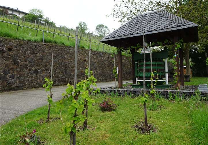 Der Eingang zum Klosterberg.Quelle: Ehrenamtliches Helferteam Lehmen