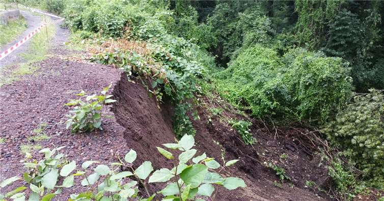 Der Erdrutsch ist deutlich sichtbar, und im Gelände gibt es weiter Bewegung. Der Weg ist gesperrt und sollte keinesfalls betreten werden.  Servicebetriebe Neuwied