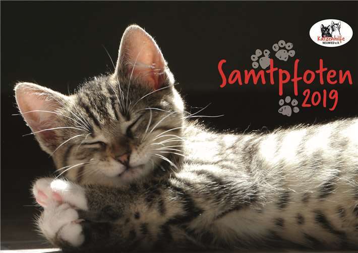 Der Erlös des Kalenders kommt den schnurrenden Schützlingen des Tierschutzvereins zugute. privat